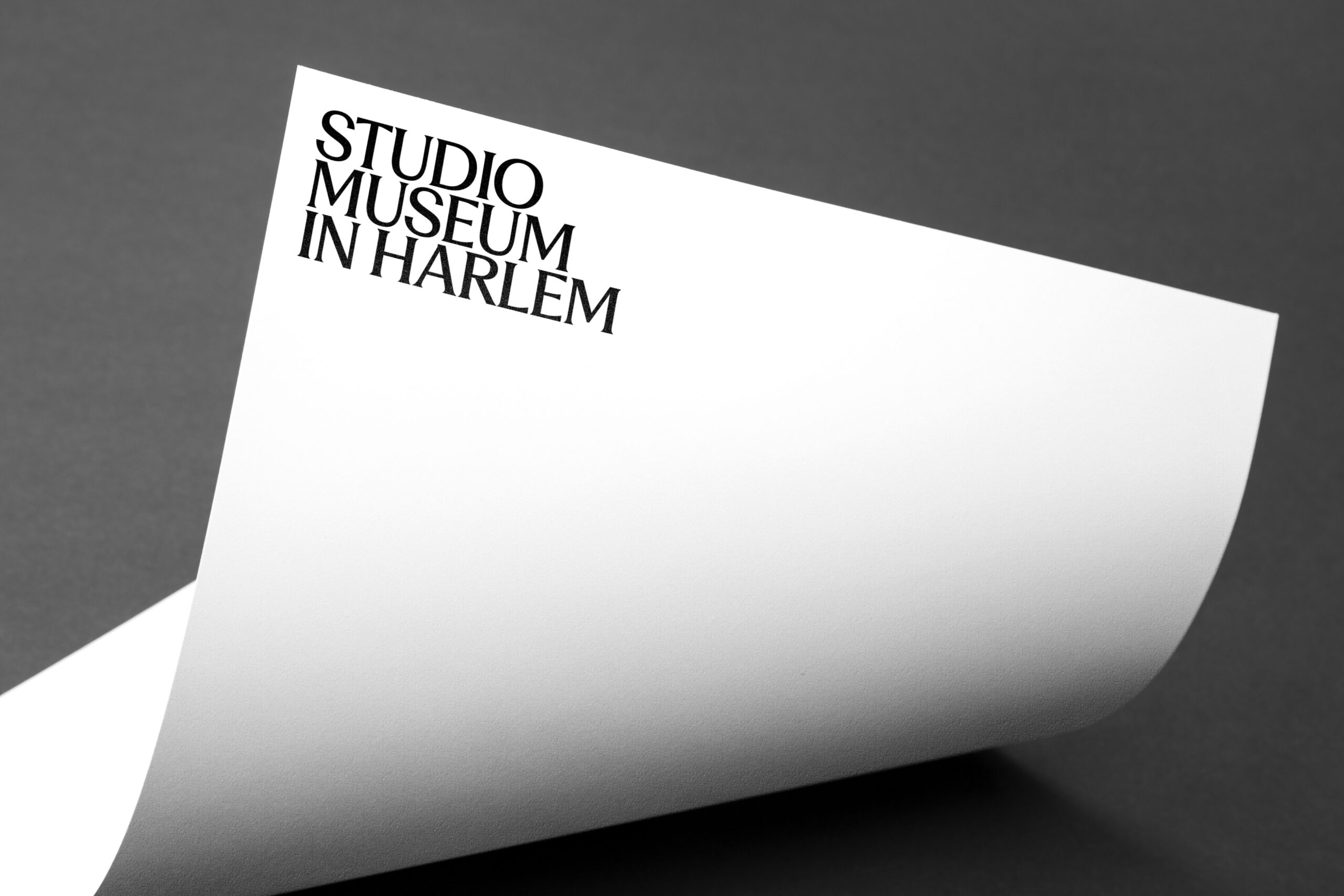modest studios  digital content creation